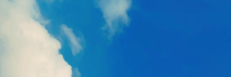 Mrs Punjaban banner