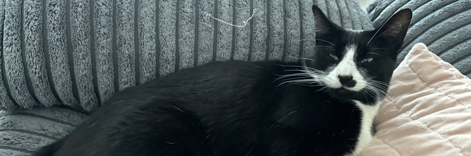 :Cactus Steve banner