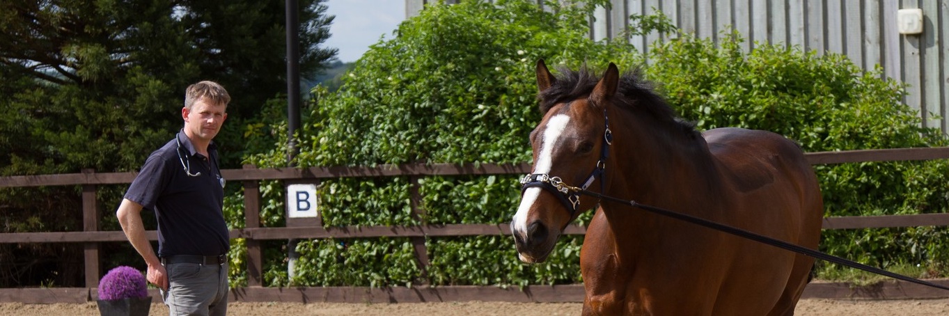 Malcolm Morley banner