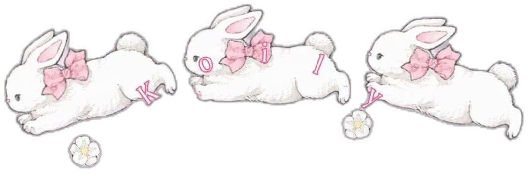 baelana🐰 banner