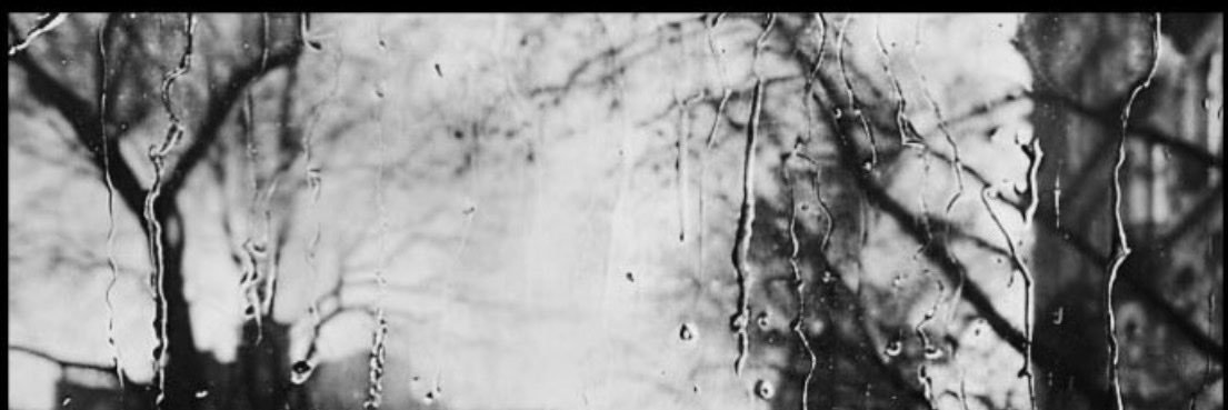 ivydsff's profile banner image