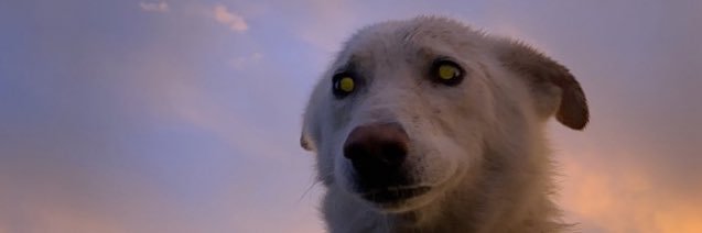 Aidan Fraser 👋 banner