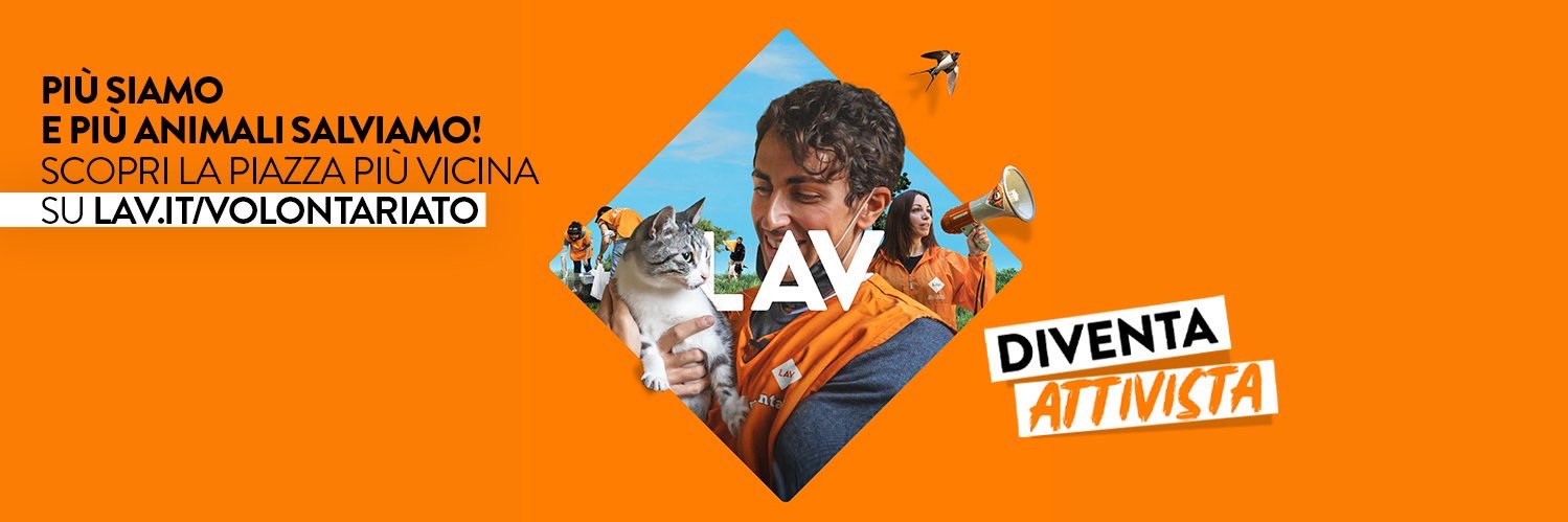 lavmodena's profile banner image