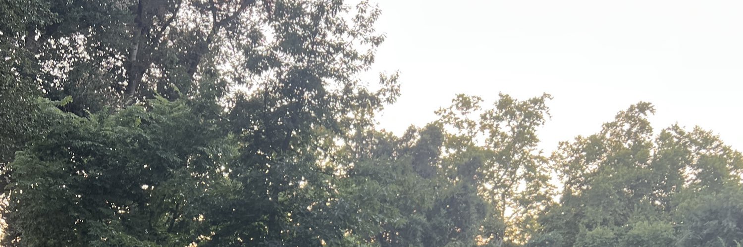 Alan (alpha dad) 🦶 banner