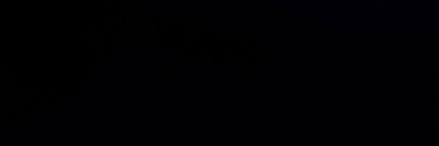 freitas banner