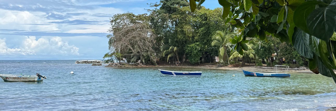 Steph González banner