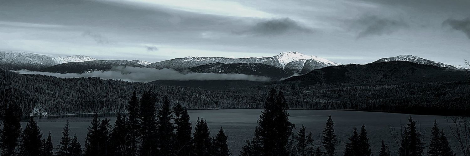 𝓐ꮮꭰꭱꮖꮯꮋ ~𝖙𝖍𝖊 𝓦𝔦𝔫𝔱𝔢𝔯 𝖕𝔯𝔦𝔫𝔠𝔢 banner