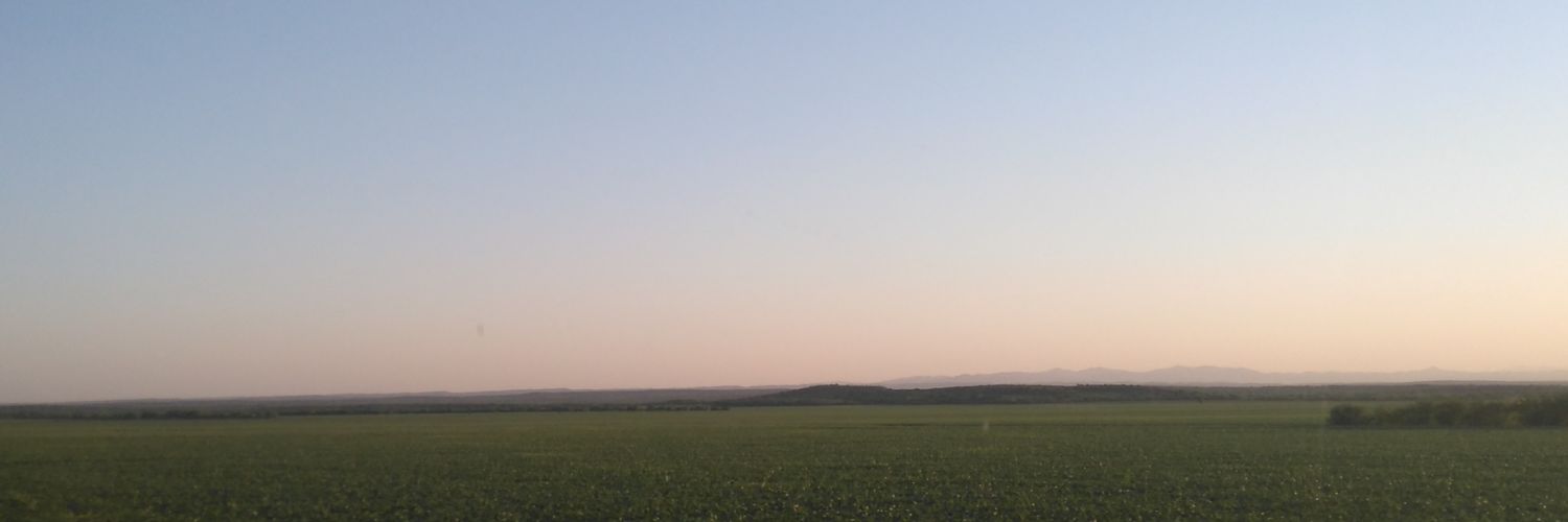 Ly8304's profile banner image