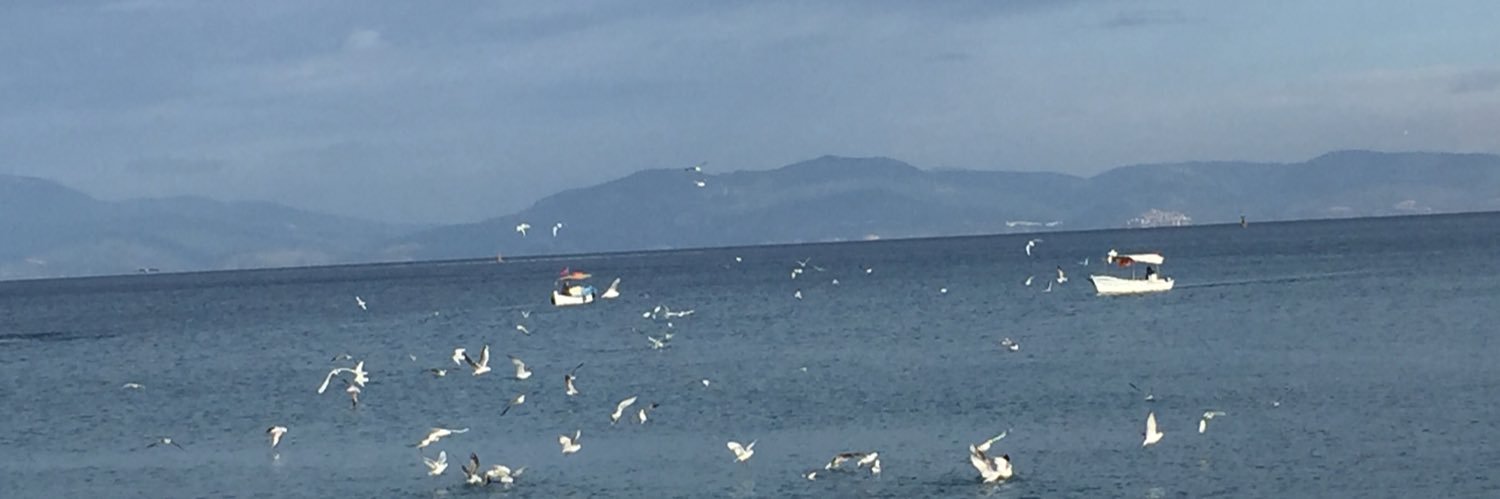 Osman Ozyigit banner