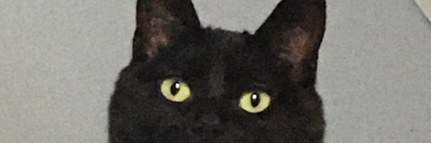 Lamberson's profile banner image