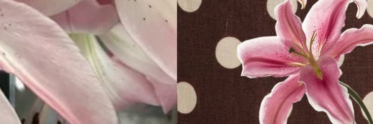 backupfluffyy's profile banner image