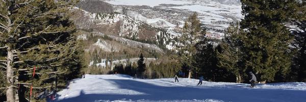 susanhanley Profile Banner