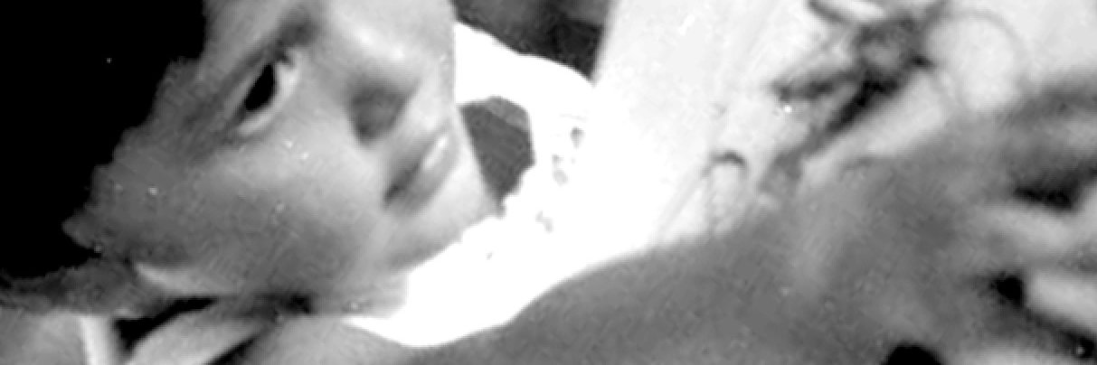 Ricardo Cunha Lima banner