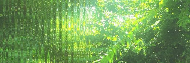 anyves banner