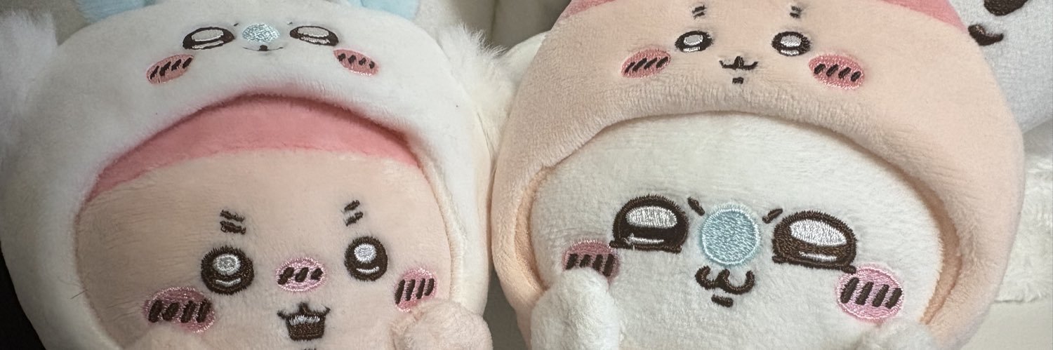 しおこんぶ🥞初マタ6wDDtwins banner