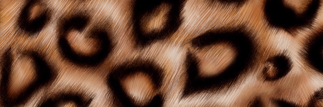 t i a r a banner