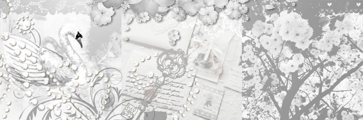 ne ۶ৎ banner