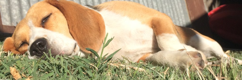 RochiBlanco_'s profile banner image