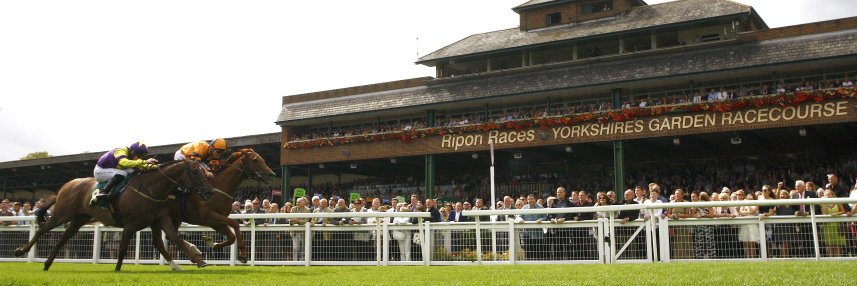 RiponRaces's profile banner image