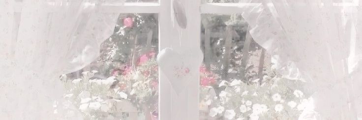 ִֶָ⁠ 𝓐 ᭡ ๋⑅ banner