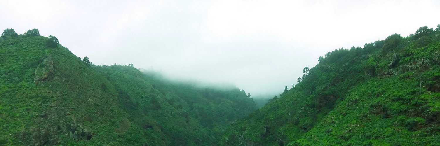 Single Purpose DnB banner