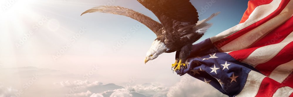 $hitCoin$hawn banner