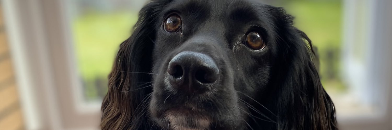 Clare Maguire banner