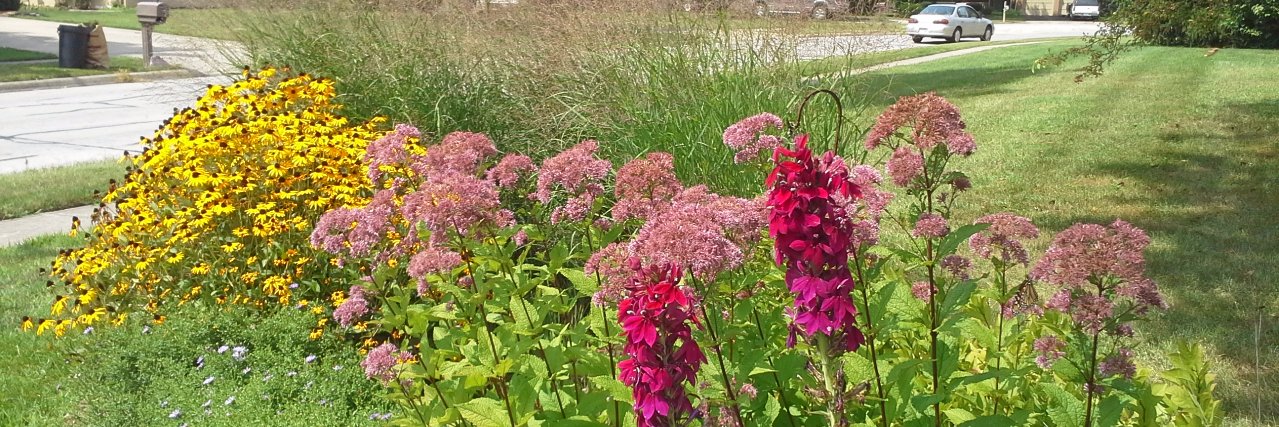 Franklin SWCD banner