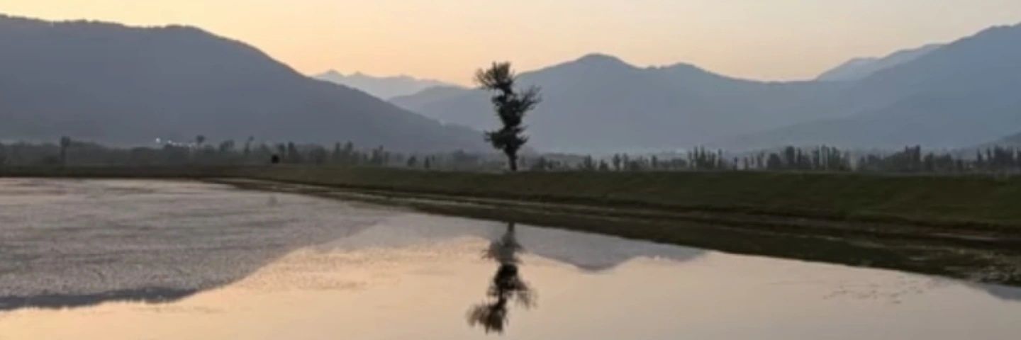imirsamia's profile banner image