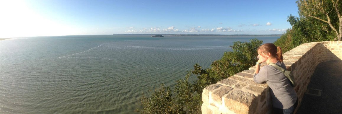 Amanda Morris banner