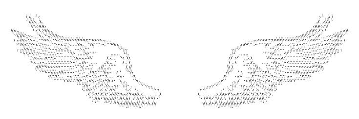 🪽 banner
