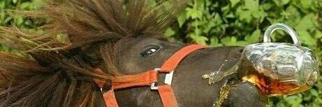 BruceStringbean's profile banner image