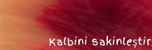 🫥 banner