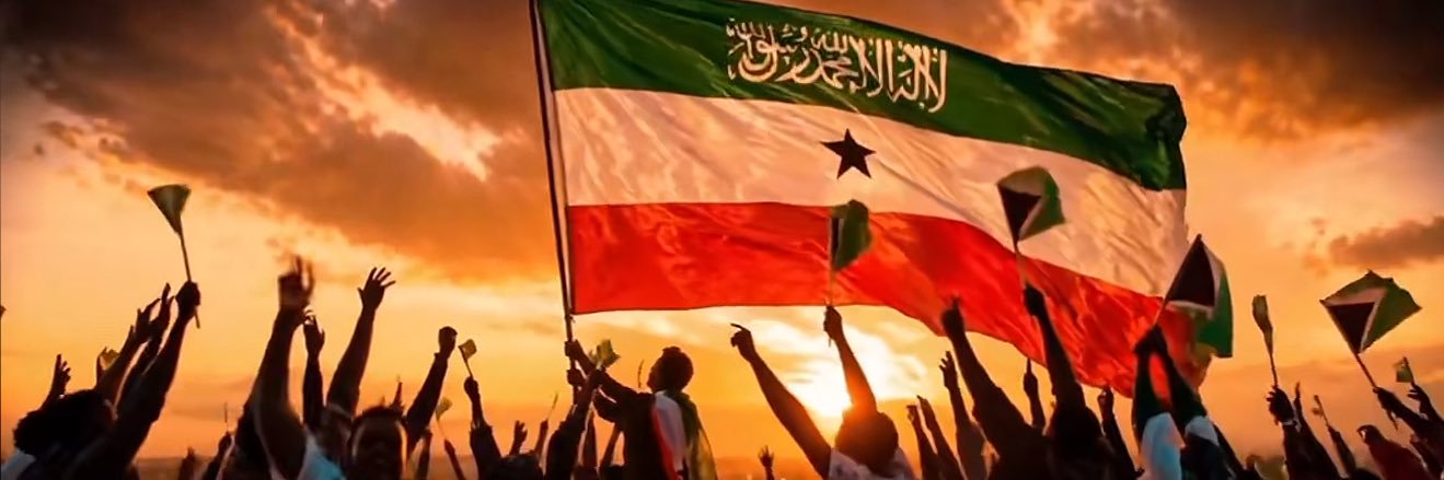 Somaliland Diaspora Council banner