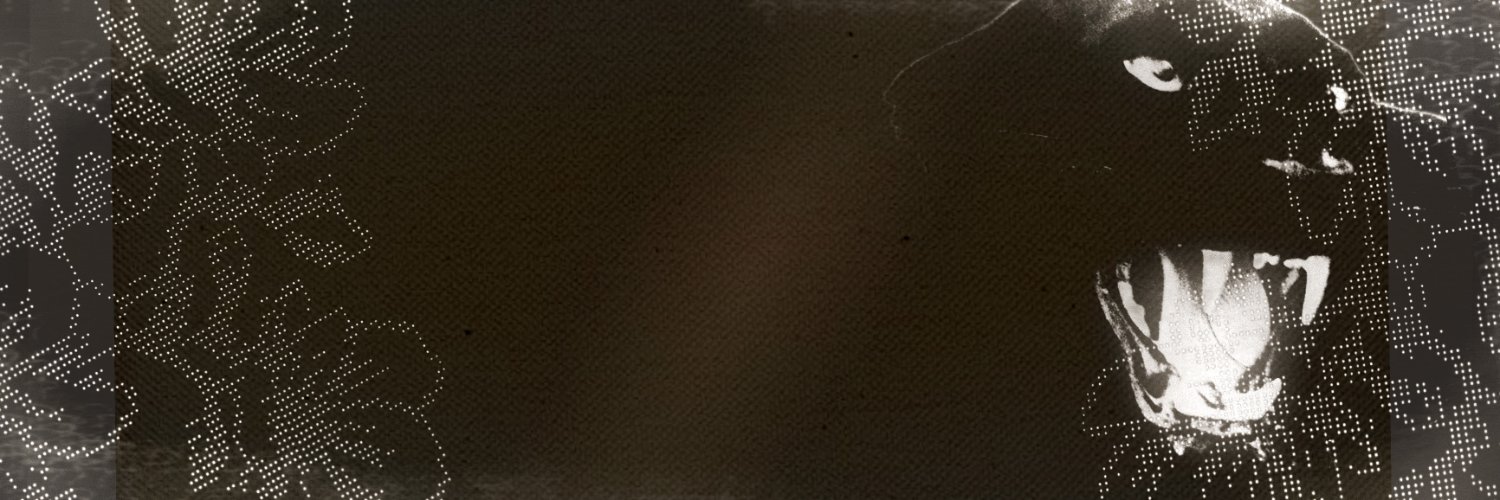 ╋━𝙏𝙃𝙀 𝙔𝙊𝙆𝘼𝙄 banner
