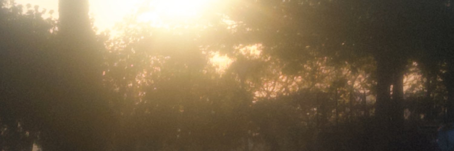 🎀 banner