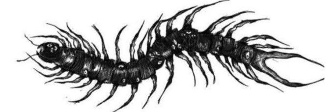 intramysterium's profile banner image