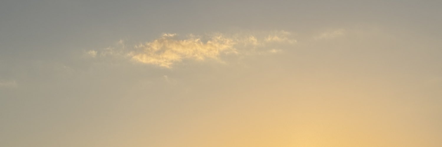 Despina Papacharalambous banner