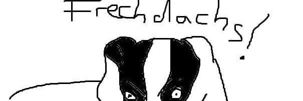 dachsingarround's profile banner image