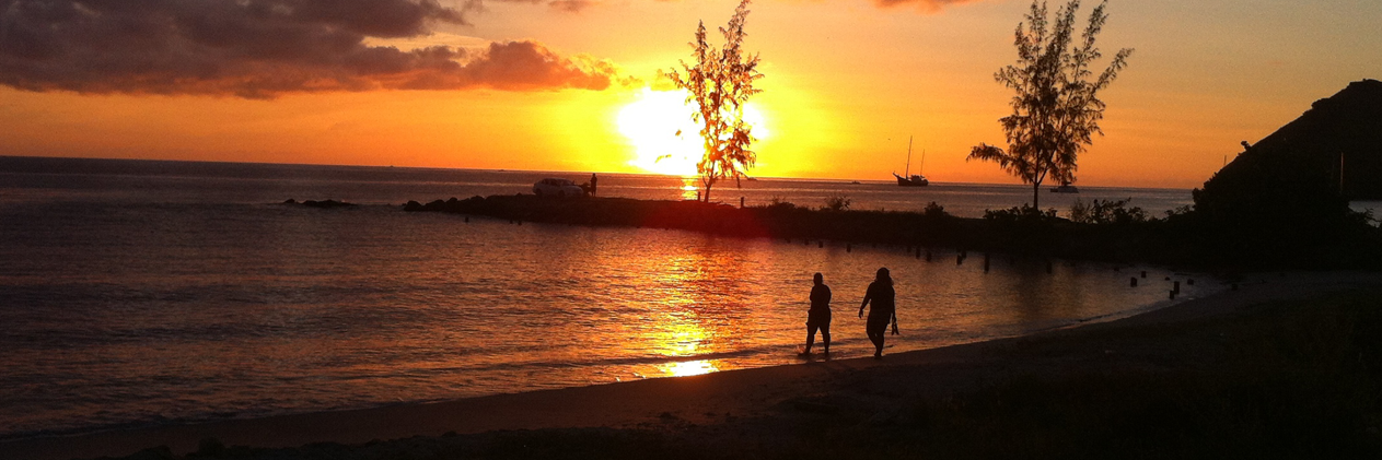 Frans / J69DS J62DX banner