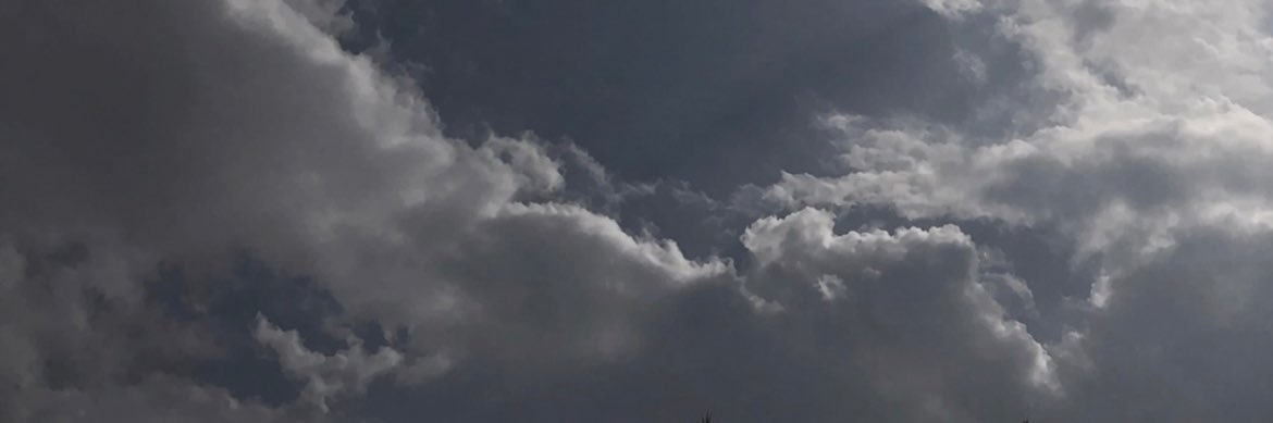 𝐿𝑢𝑙 banner