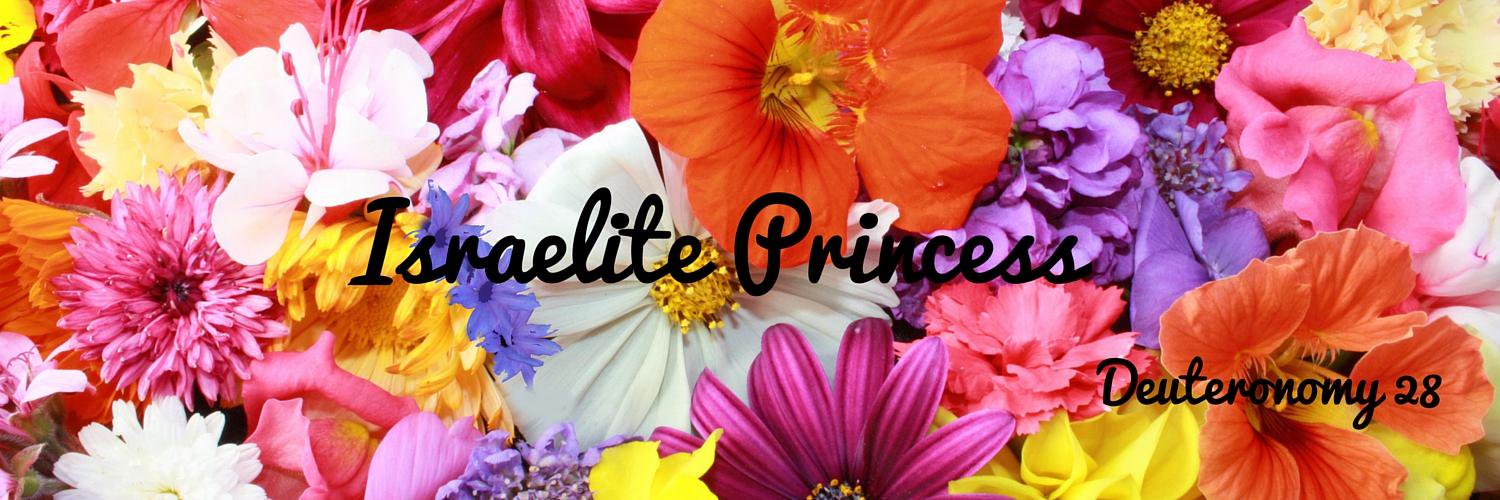 AmariyaIsrael's profile banner image