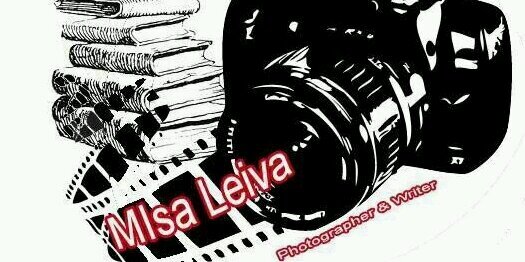 misaleiva's profile banner image