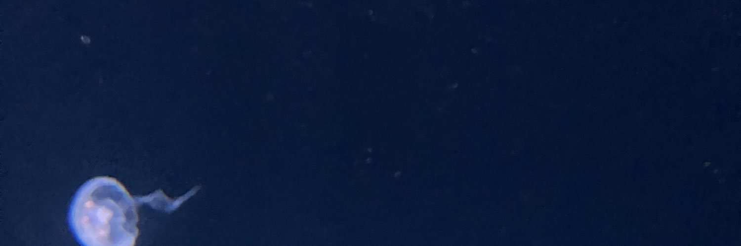 🩵 banner
