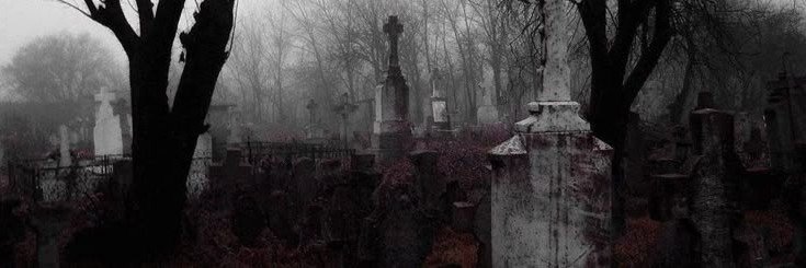 hellewise's profile banner image