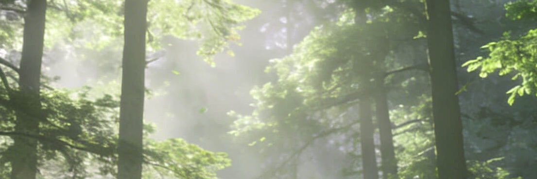 Mrfatdisc221's profile banner image