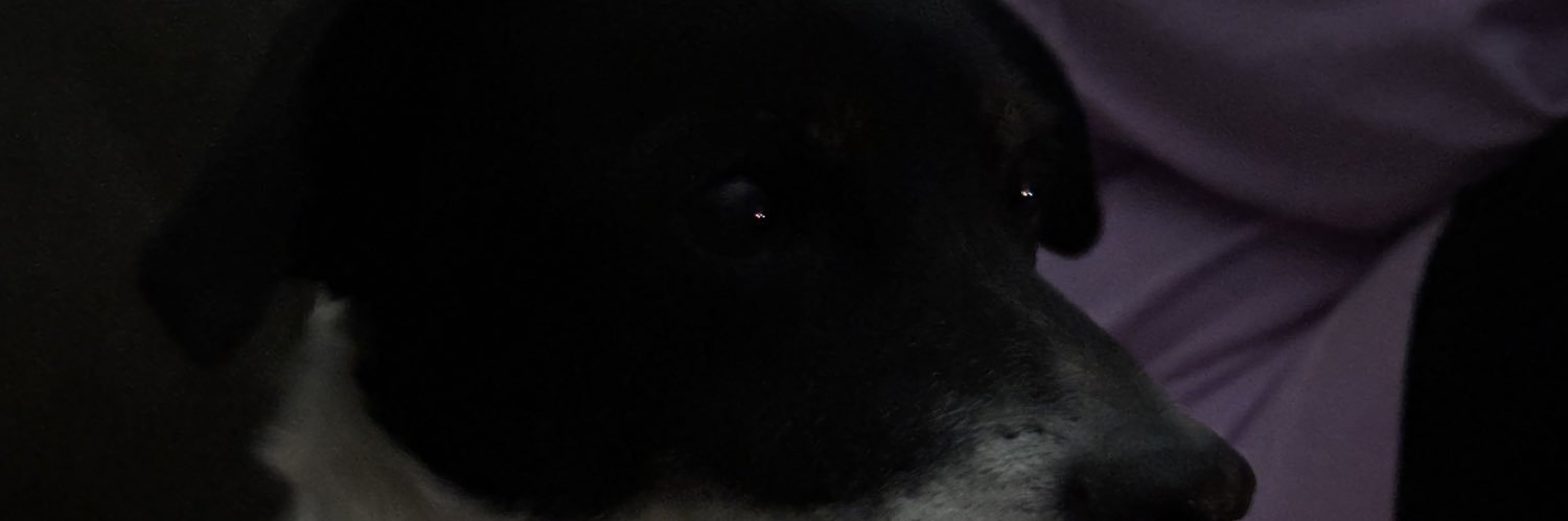 wehttwehttwehtt banner