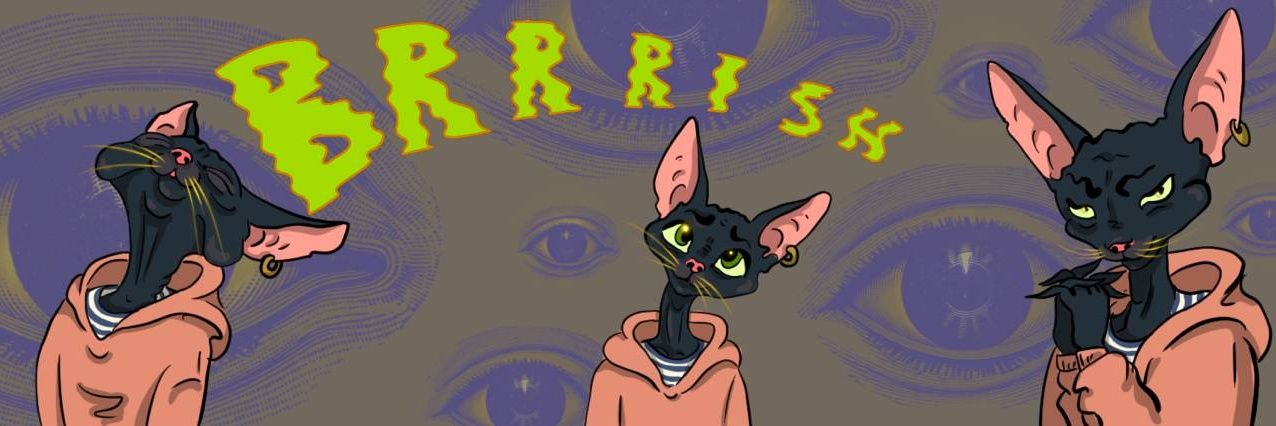 Brrrish banner