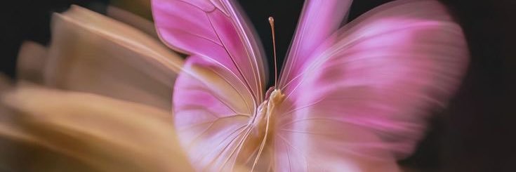 skyyscomet's profile banner image
