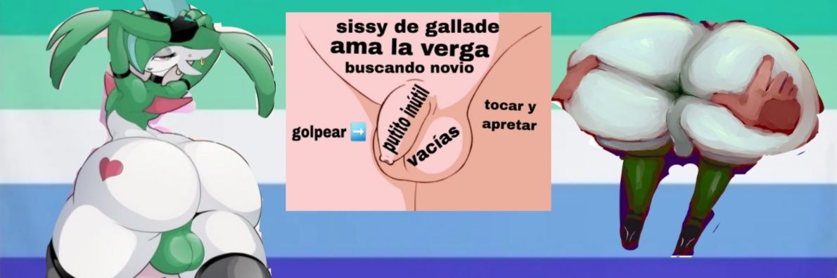 gallade sissy banner